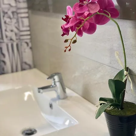 El Mirador De Apartamento Caces